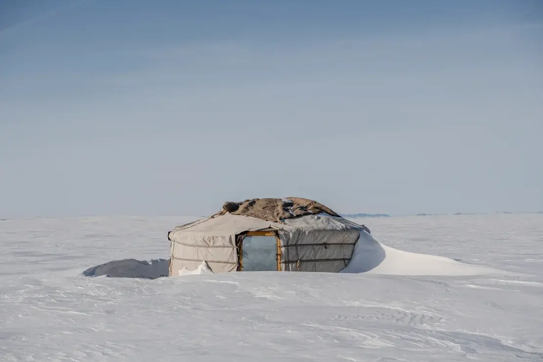Около 5 миллионов животных погибли во время самой суровой за последние полвека зимы в Монголии, сообщают гуманитарные организации