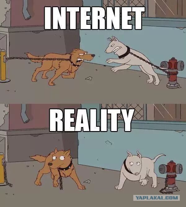 Они существуют только в интернете!!!3 ярких типа комментаторов