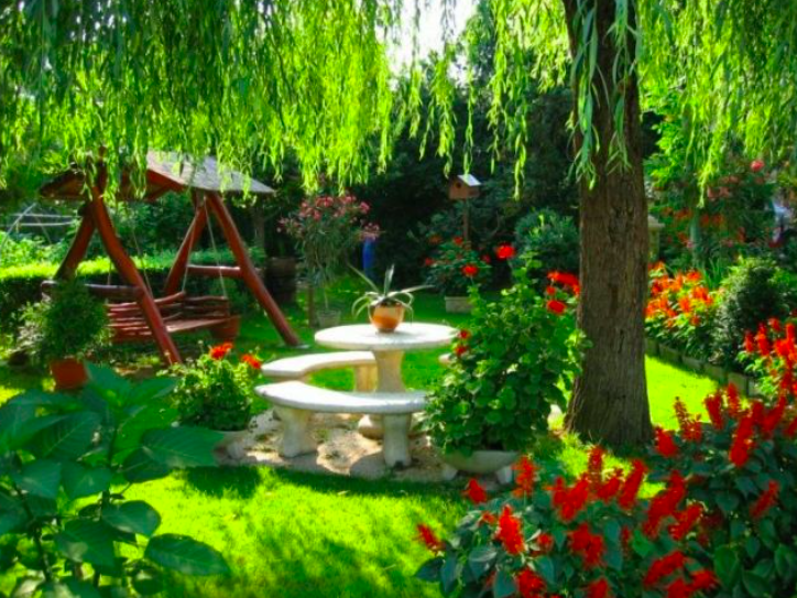 Как я посадила свой первый сад. Моя история о том, как я создала уголок природы в своем дворе.