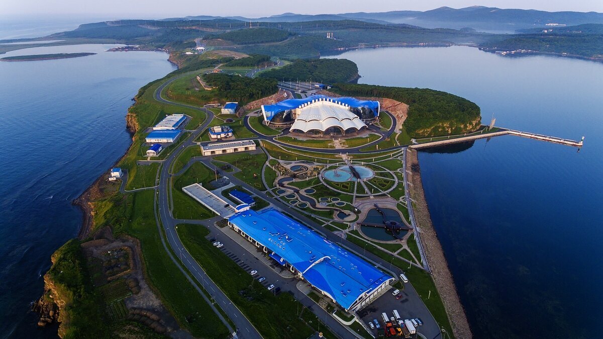 Хронология рифа-русский.