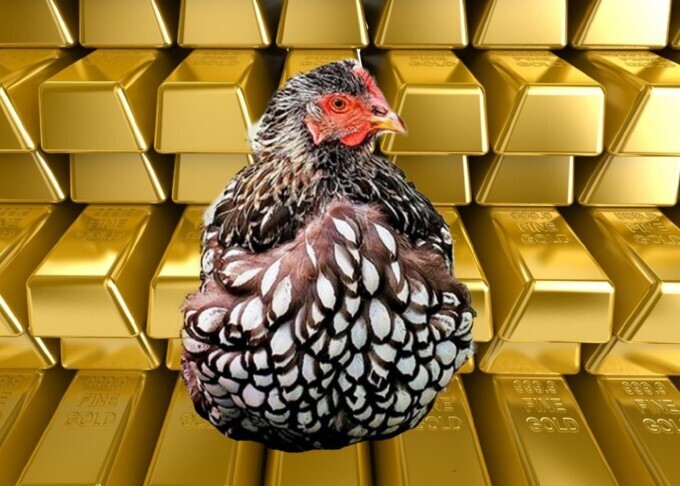 Завещатели и наследники: новая тенденция в России 2024 и самые необычные случаи в мире