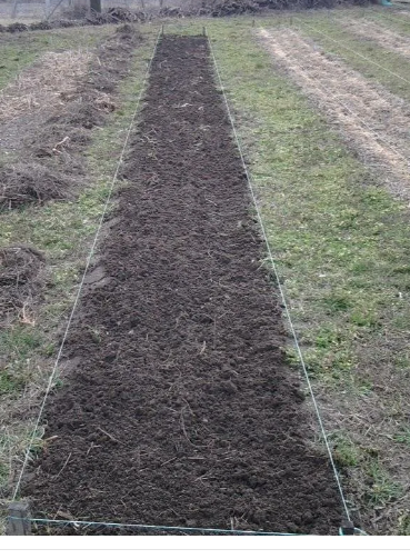 Чудо-растворы для морковки.