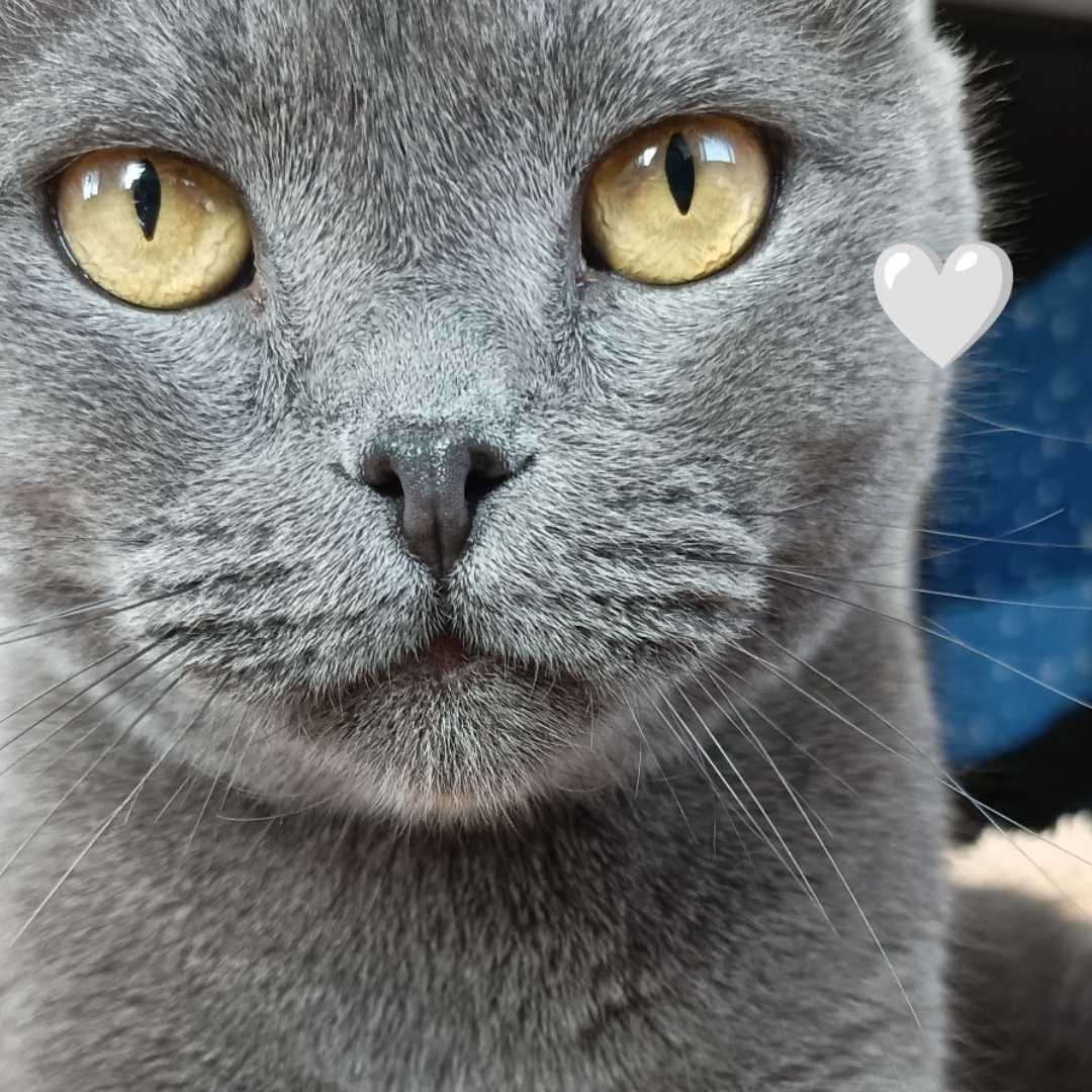 Розыгрыши, лотереи – возможно ли выиграть? А если без вложений? Всё ли честно? Наш опыт и сколько максимум получилось выиграть