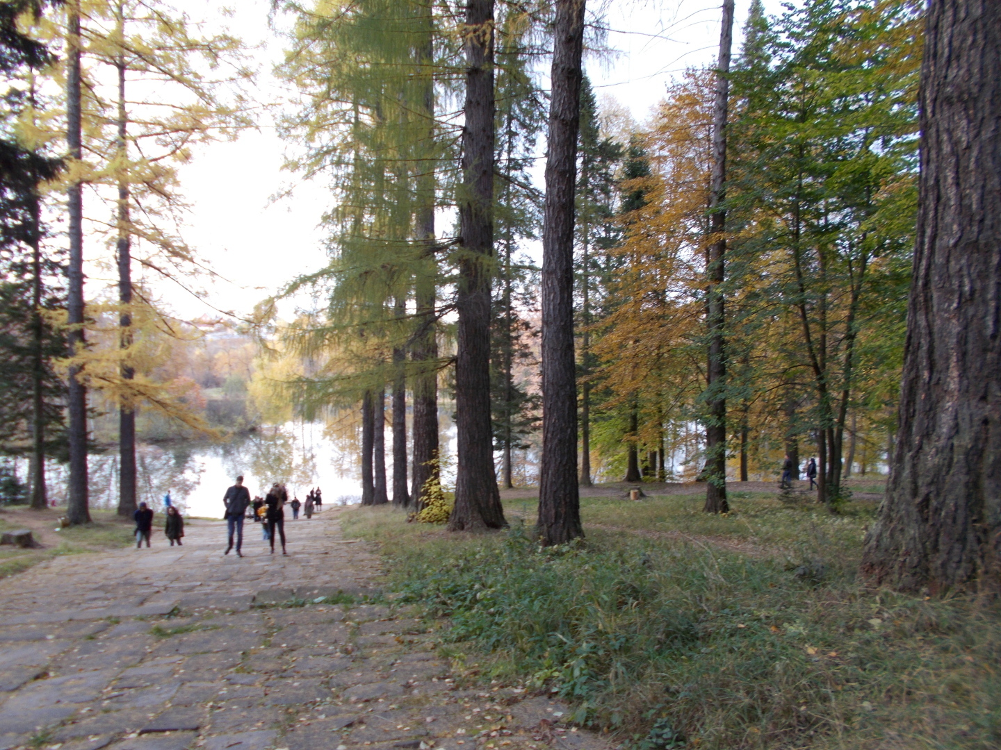 Середниково. Наши прогулки по удивительным Лермонтовским местам