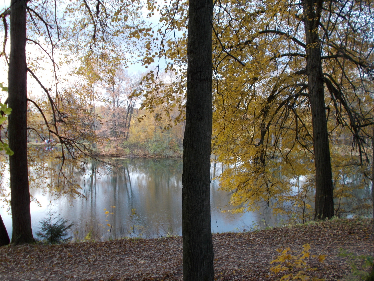 Середниково. Наши прогулки по удивительным Лермонтовским местам