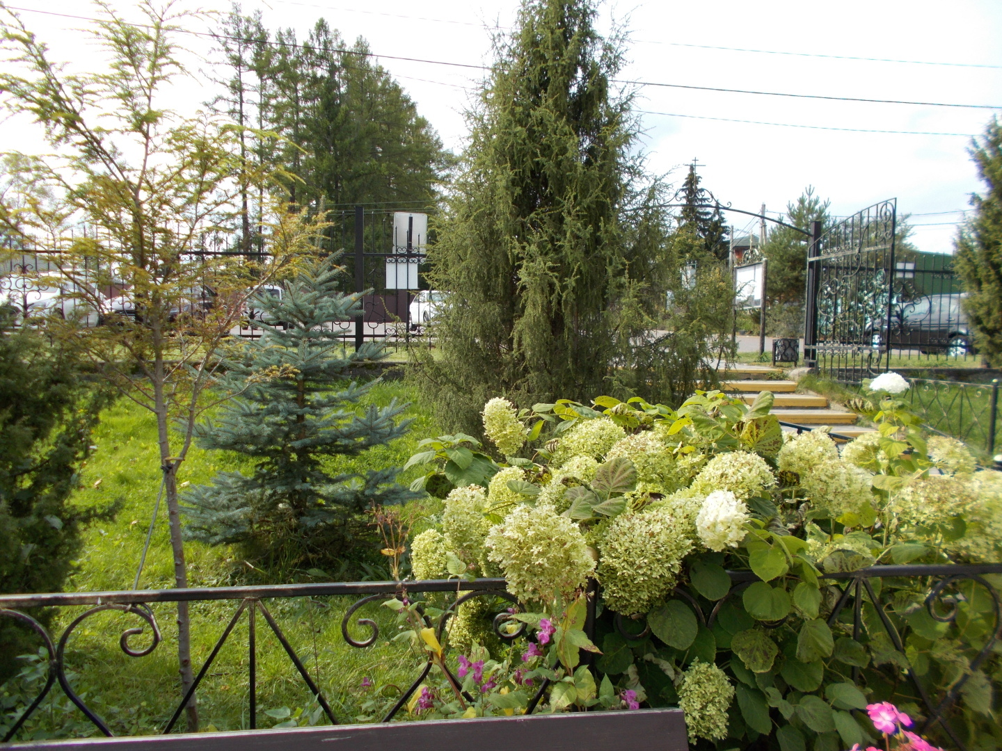 Середниково. Наши прогулки по удивительным Лермонтовским местам
