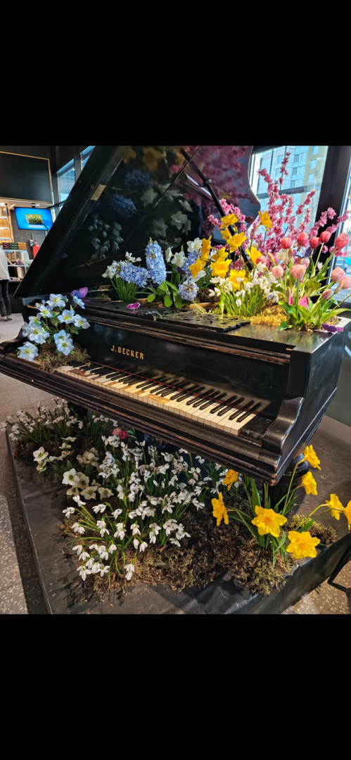 Рассказываю про фудкорты Москвы. Самое популярное место для проведения досуга в Москве: и детям, и взрослым