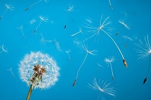 Может ли человек увидеть Бога?