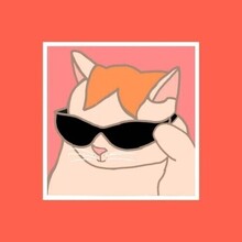 10 Минут Смеха с Животными и Котами, г. Москва