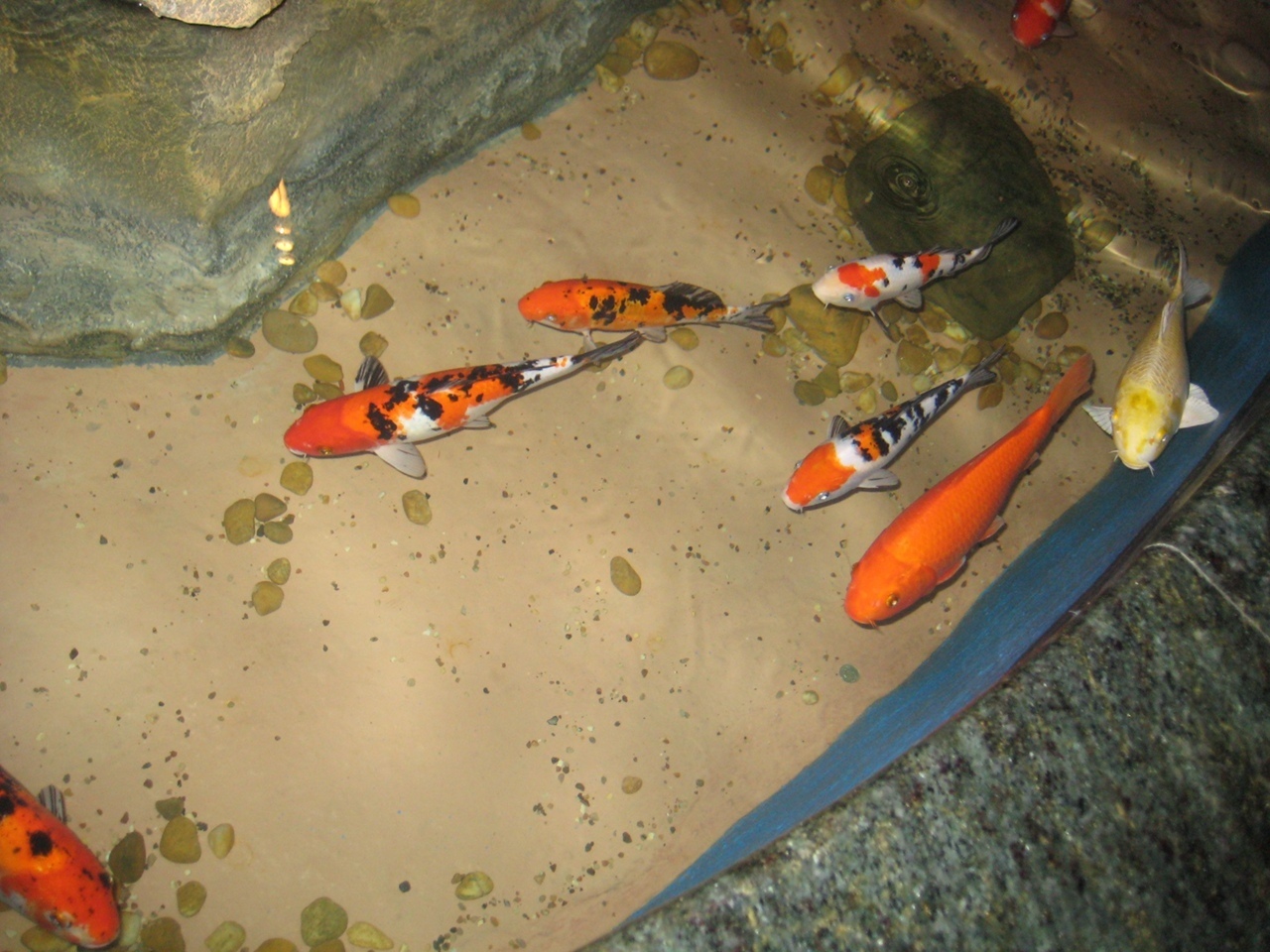 Мой летний отдых в поселке Лазаревское: мы обязательно еще вернемся в эту почти домашнюю атмосферу