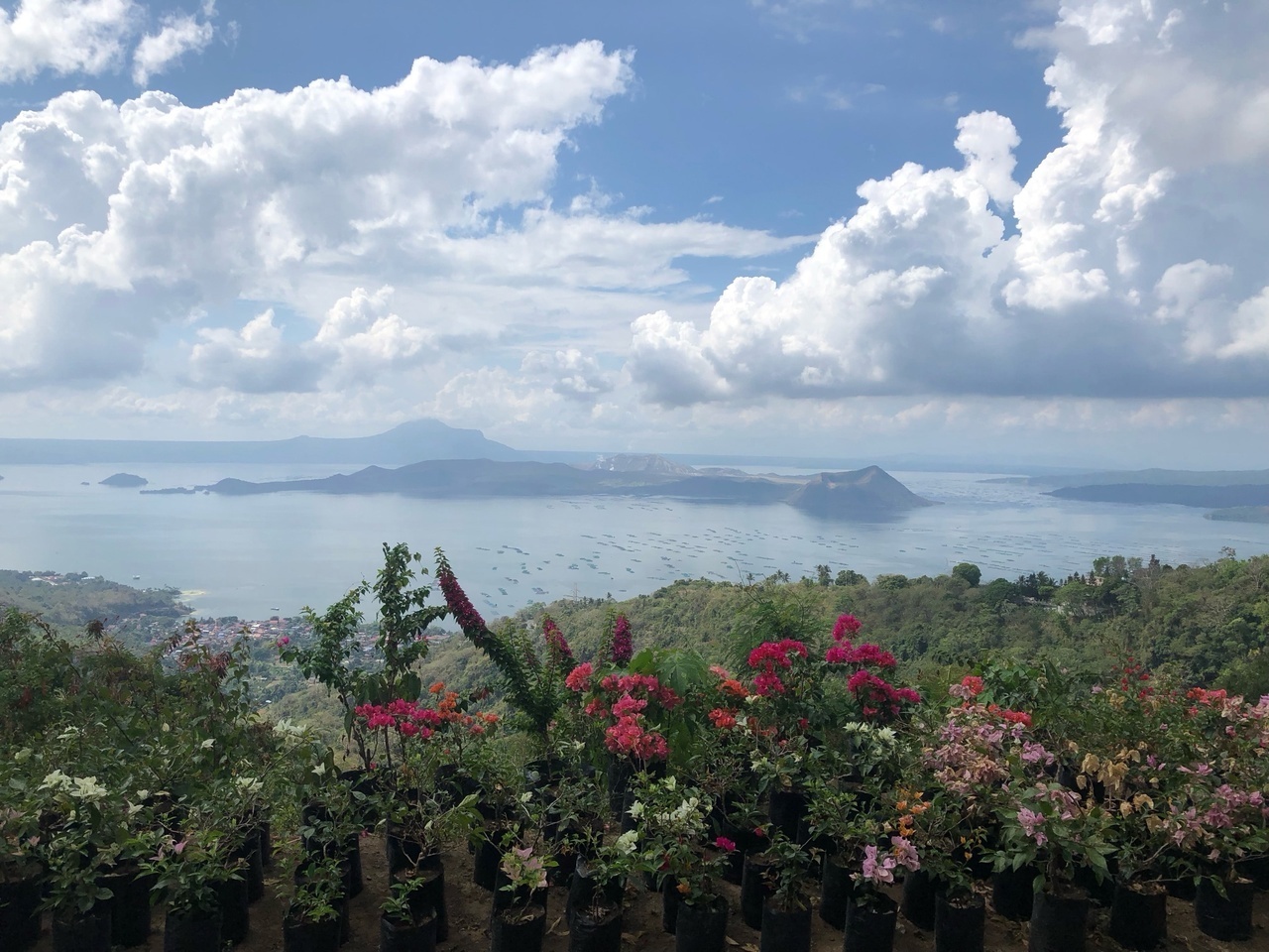 Мой младший сын с женой в Маниле. Фотосюжет о том, как там отмечают католическую Пасху