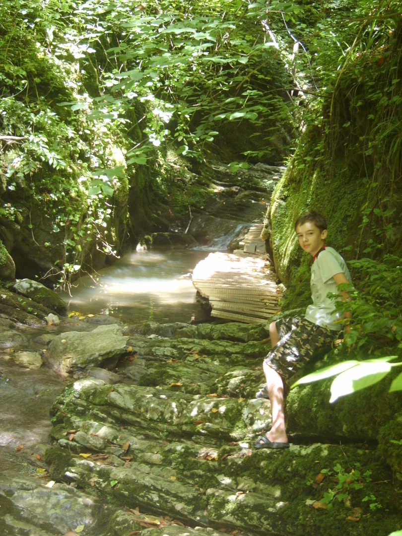 Наша экскурсия по Крабовому ущелью. Лазаревское. Лес, водопады, живописный каньон и необыкновенный заряд бодрости!