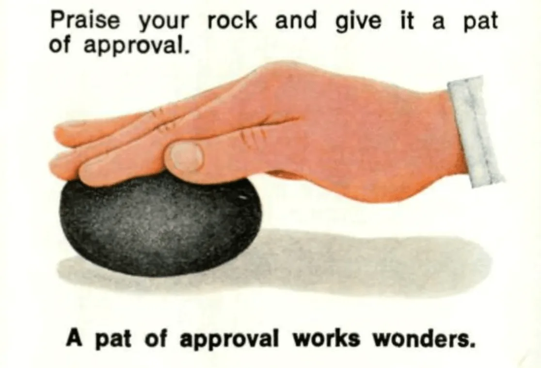 Идеальный домашний питомец: заработать 100 миллионов долларов на том, что валяется у всех под ногами