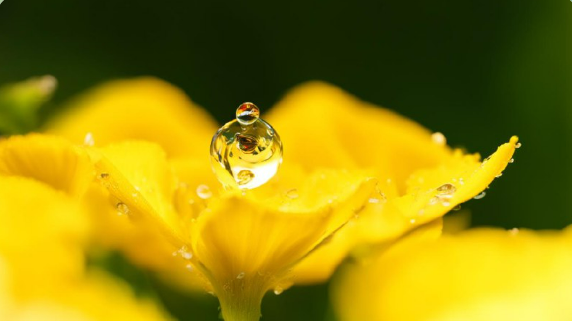 Сказка о Пробуждении Весны в Лесу !