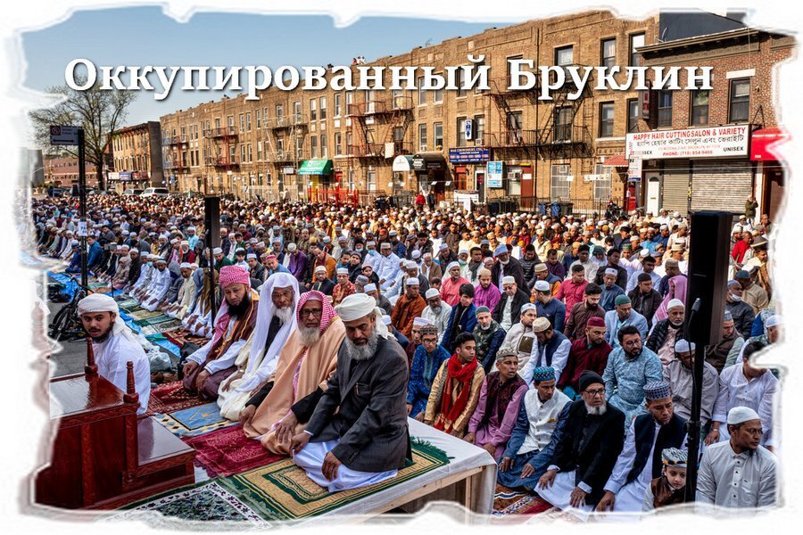 Писатель из США в предчувствии последних дней Америки