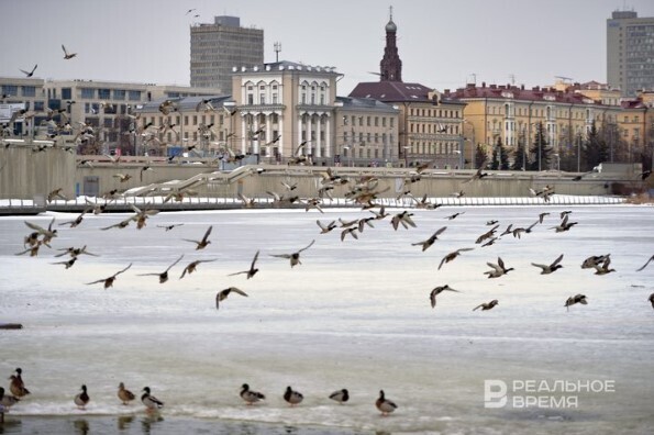 Сегодня празднуется Международный день смеха все люди смеются друг над другом