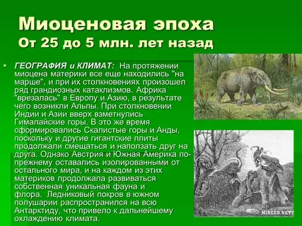 Как называется геологический период, во время которого уровень Мирового океана был ниже уровня нынешнего на 135 м?