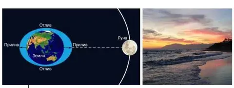 Известно, что благодаря Луне, в Мировом океане дважды в сутки происходят приливы и отливы. Но Луна так же ответственна за так называемые «твердые прил