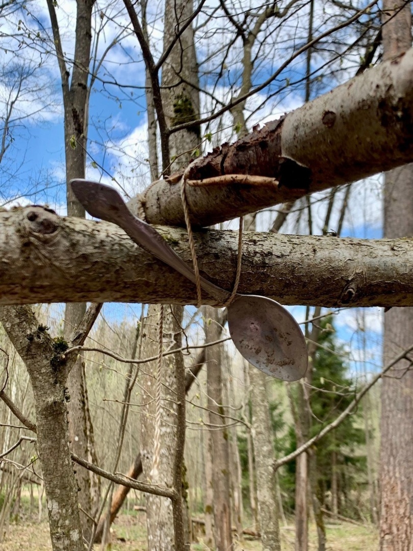 "Мир открывается тем, кто путешествует пешком" (с)