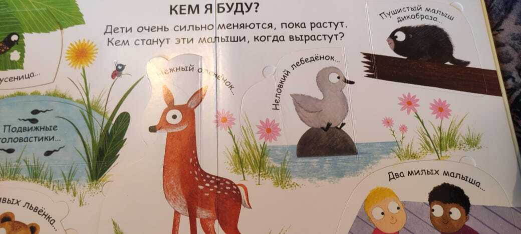 Первая книга для малышей ответит на вопрос, откуда дети берутся. Красивые иллюстрации – идеально для малышей!