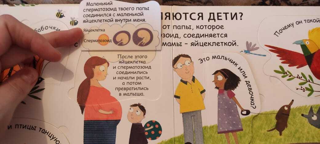 Первая книга для малышей ответит на вопрос, откуда дети берутся. Красивые иллюстрации – идеально для малышей!