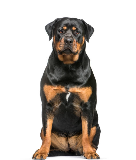 Испорченное настроение и история о том, как я получила испуг.