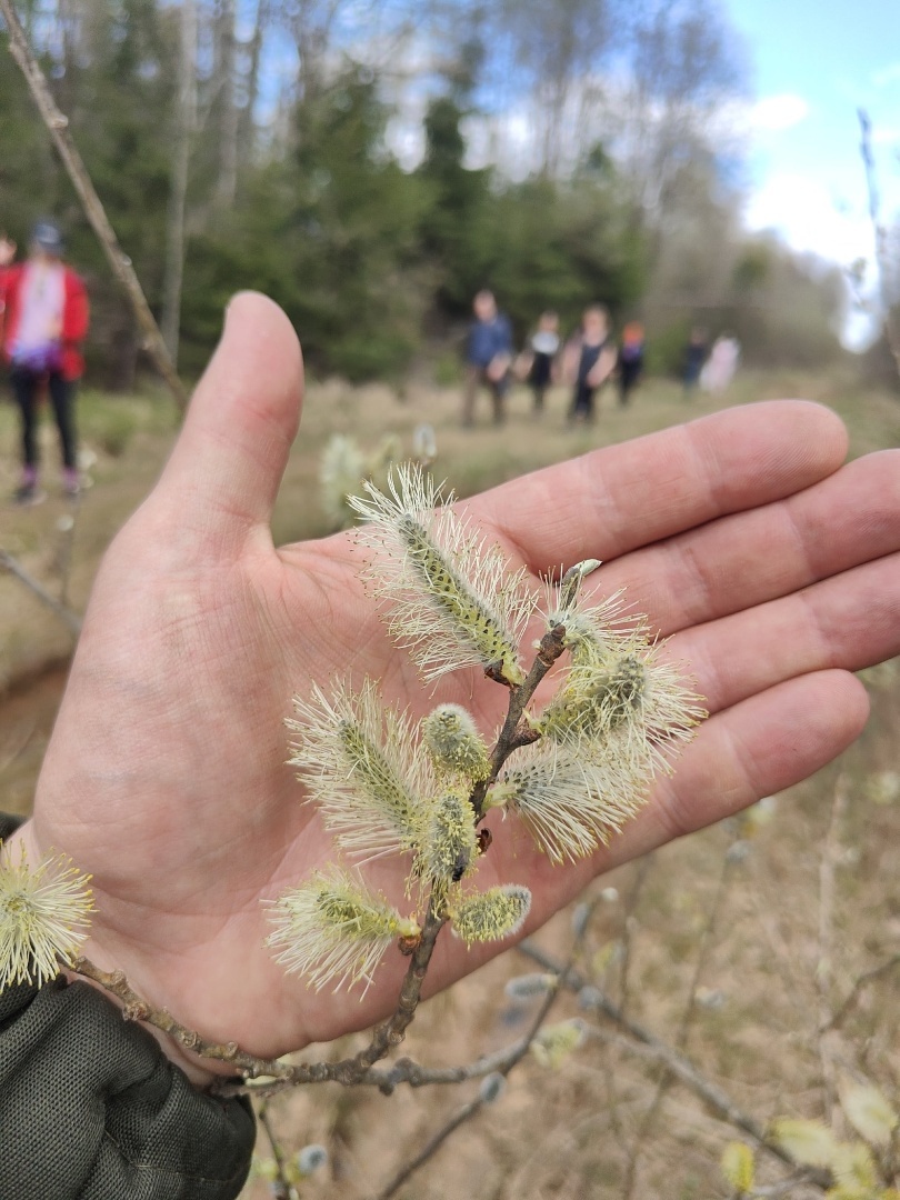"Мир открывается тем, кто путешествует пешком" (с)
