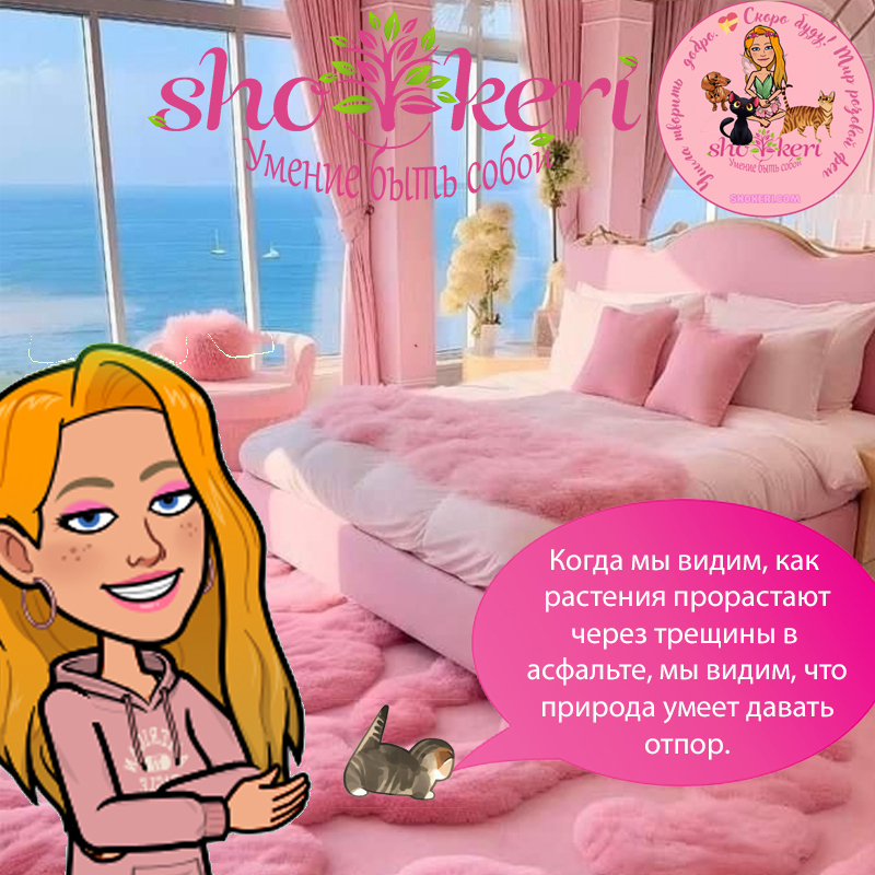 Почему важна эстетика в повседневной жизни?🔥