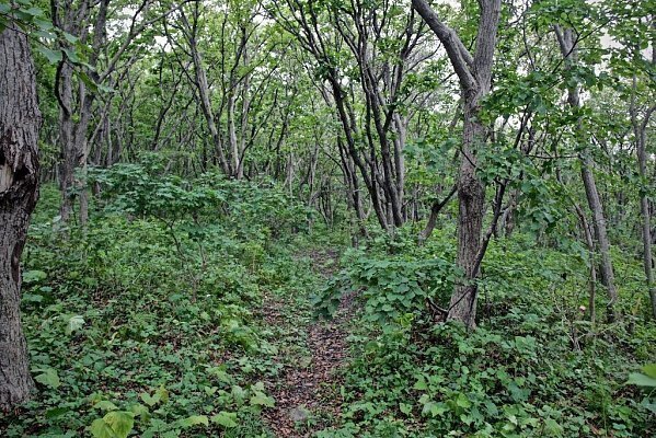 Повествование о аларе Русский.