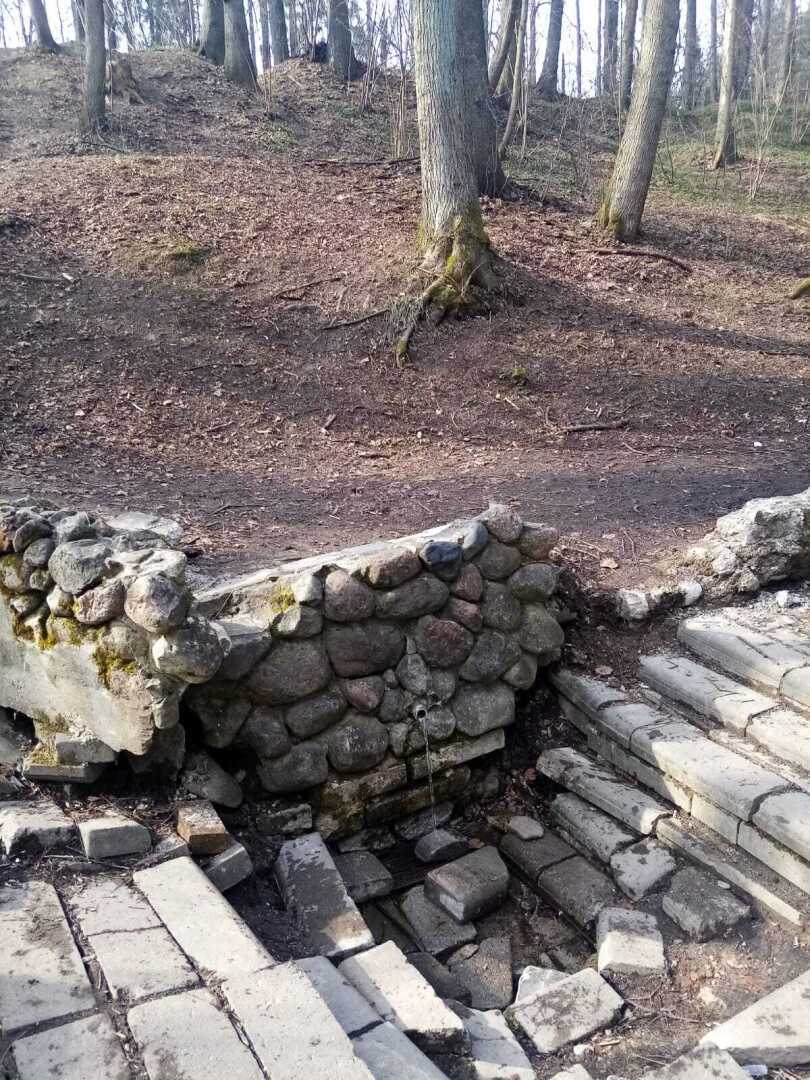 Ранняя весна в парке. Барский пруд, родник и пробудившаяся лягушка. Прекрасное место для отдыха!