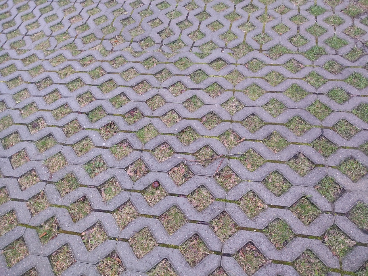 Место силы в Знаменске: «эту Кирху охраняет сильный ангел»… Или языческие Боги?