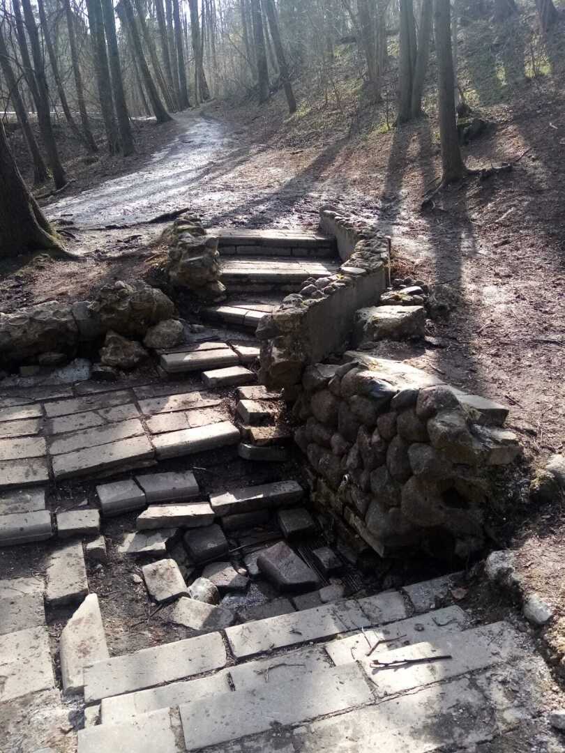 Ранняя весна в парке. Барский пруд, родник и пробудившаяся лягушка. Прекрасное место для отдыха!