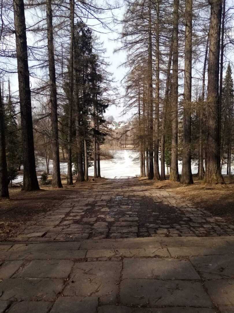 Ранняя весна в парке. Барский пруд, родник и пробудившаяся лягушка. Прекрасное место для отдыха!