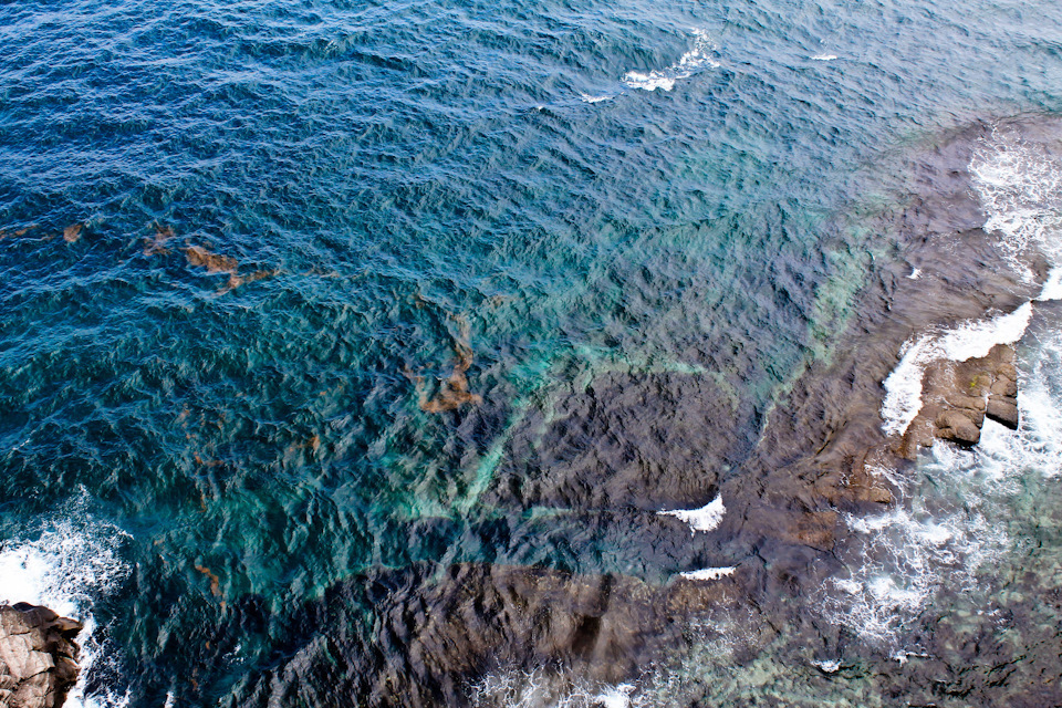 Папирология Русского.