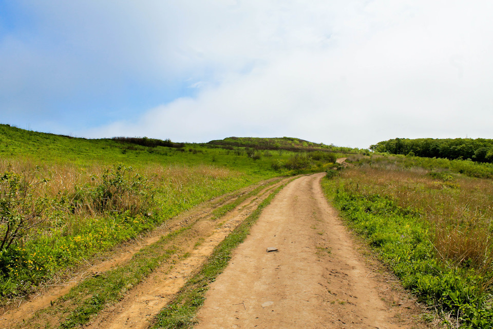 Папирология Русского.