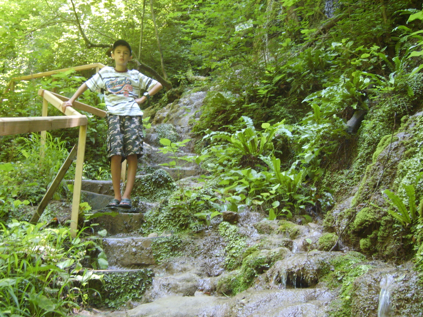 Наше путешествие в «Берендеево царство». Прекрасный маршрут для любителей пешеходных экскурсий!