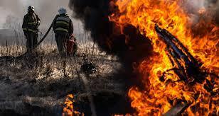 User В Тюменской области объявили о начале пожароопасного сезона