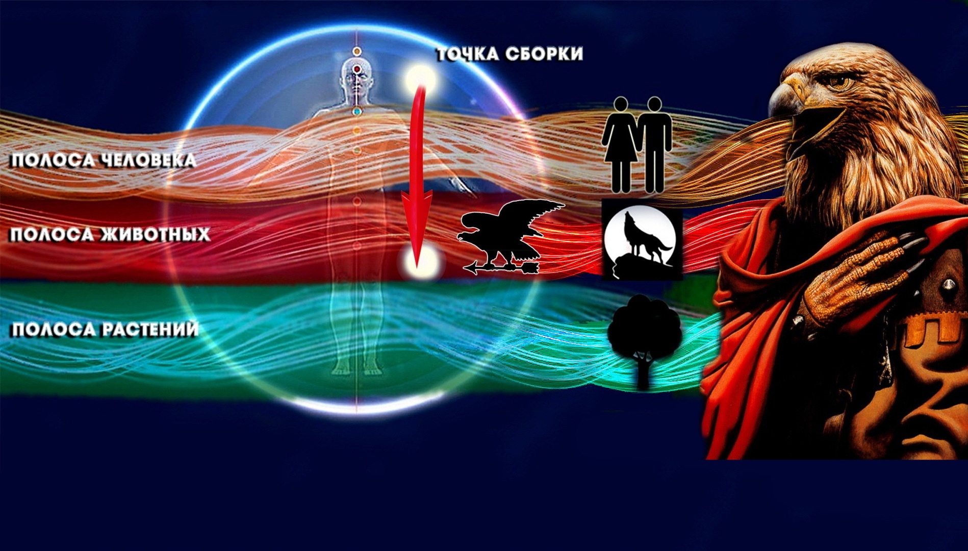 "Карлос Кастанеда" - "Терентий Смирнов"; ОВД - остановка внутреннего диалога. Эффекты и опасности!