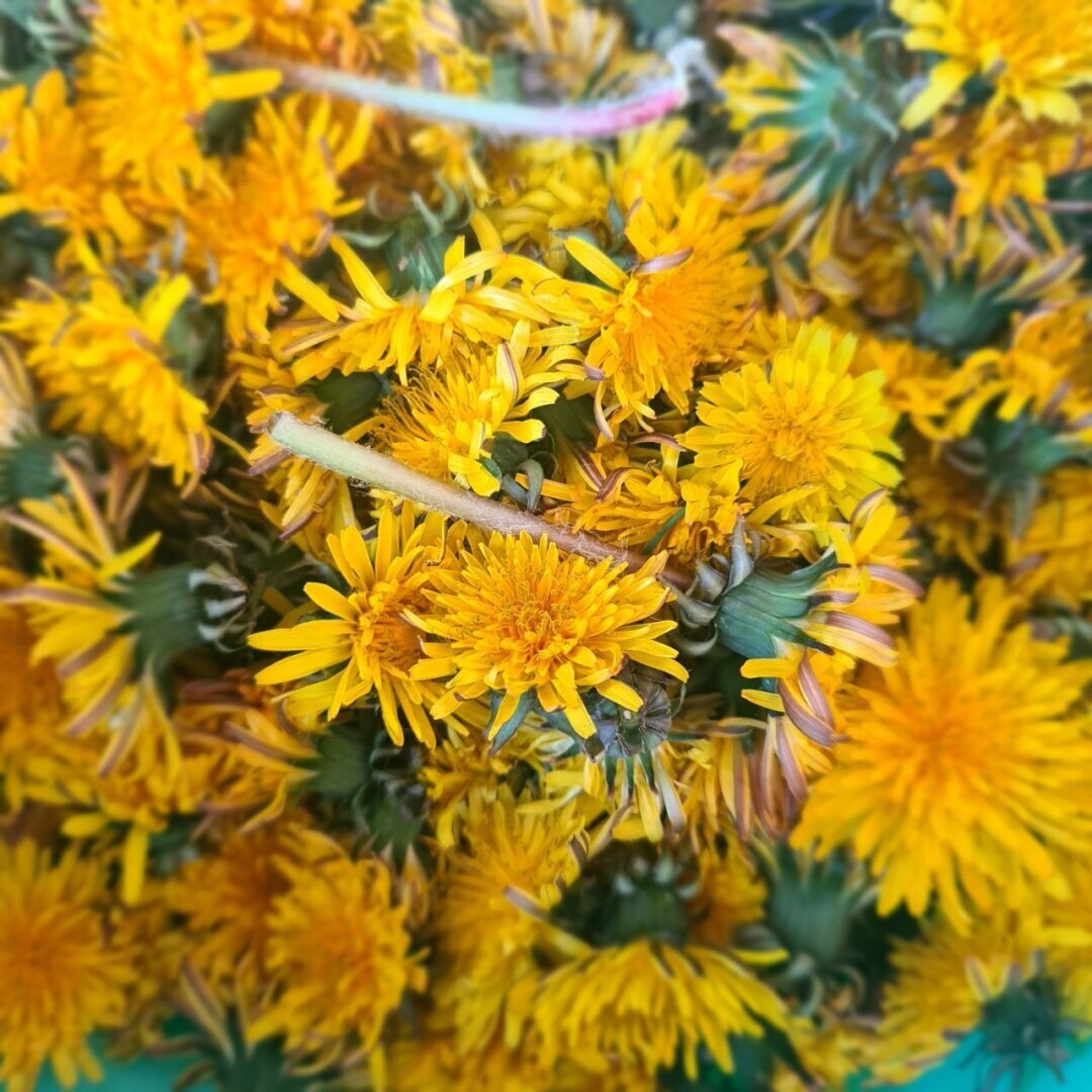 Девочки, а давайте про трусы поговорим?