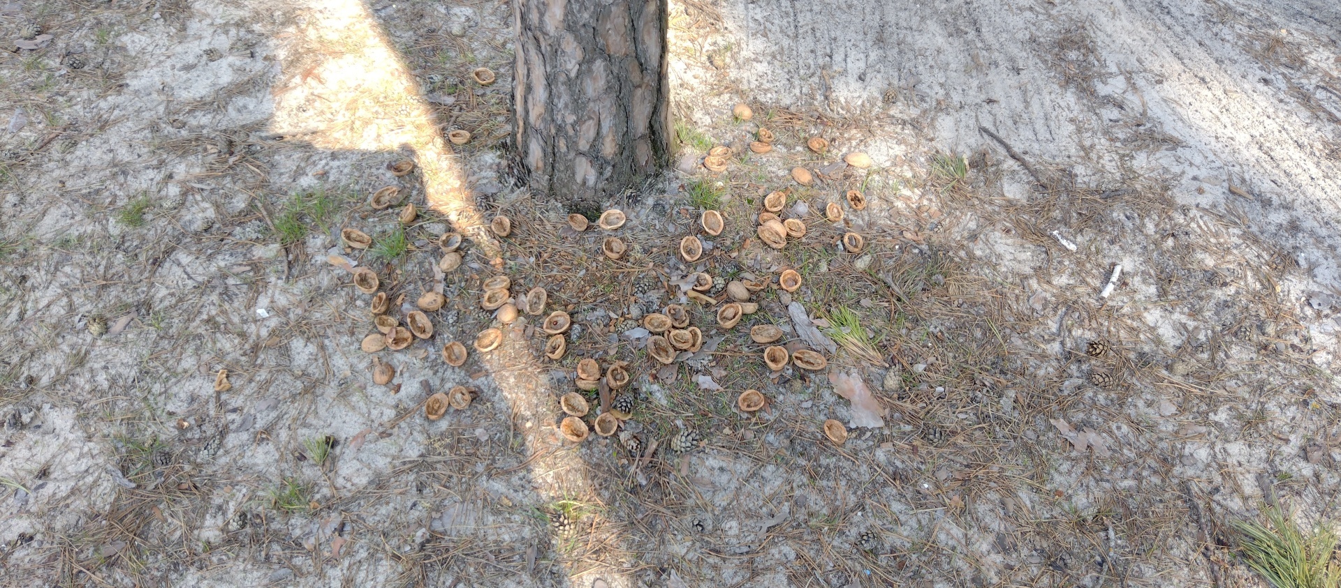 Я люблю работать !