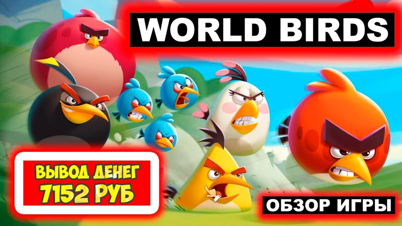 World of birds игра (93) фото