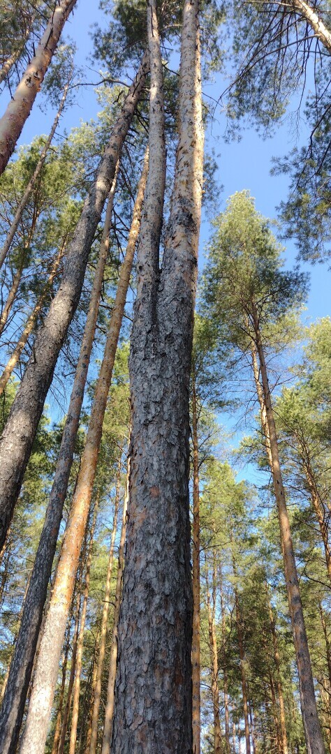 Я люблю работать !