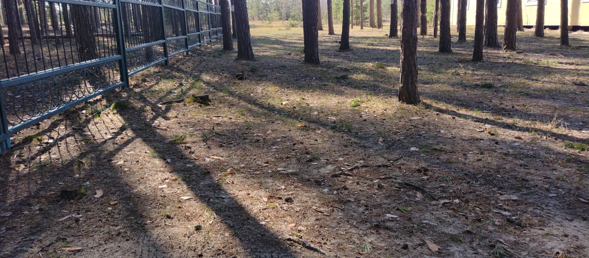 Я люблю работать !