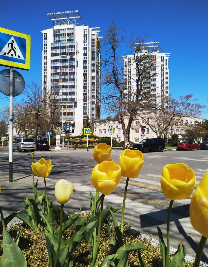 Тюльпановая Анапа 2024. Весна началась с лета, тепло за +20 🌷🌷🌷