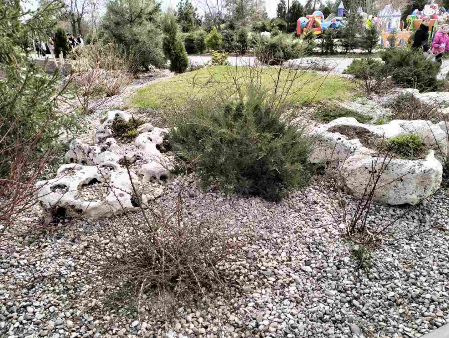 Была уверена, что в парк надо ходить не раньше начала цветения растений