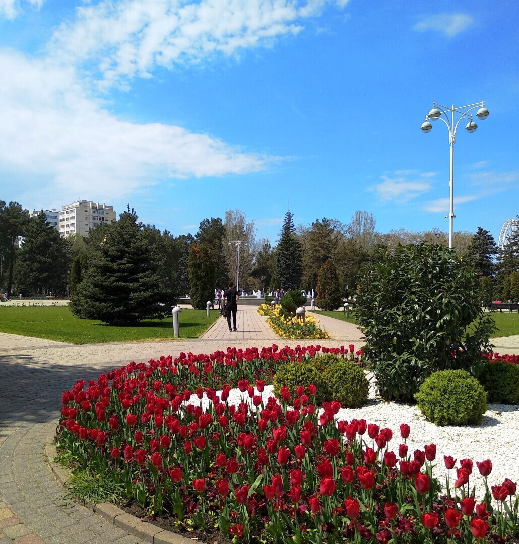 Тюльпановая Анапа 2024. Весна началась с лета, тепло за +20 🌷🌷🌷