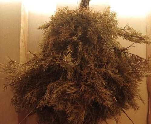 Карибия. Любимый аквапарк в Москве. Посещаю с 2016 года