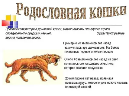 Легенды о происхождении кошек