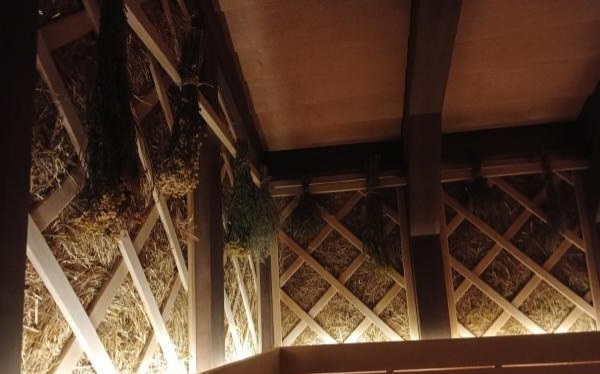 Карибия. Любимый аквапарк в Москве. Посещаю с 2016 года