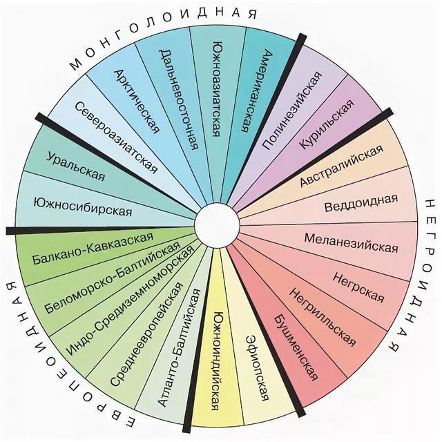 Считают ли западные европейцы себя лучше , чем...